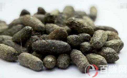 越眾創(chuàng)業(yè)網:利用畜禽糞便賺錢,農村創(chuàng)業(yè)好項目!